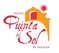 ? HotelDetail_LogoAlt Quinta del Sol by Solmar logo
