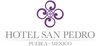 ? HotelDetail_LogoAlt Hotel San Pedro Puebla logo
