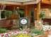 ? HotelDetail_LogoAlt Swan Mountain Resort logo