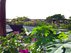 ? HotelDetail_LogoAlt Hotel Sun ha Bacalar logo