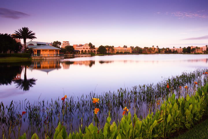 Hotel Disney's Coronado Springs Resort