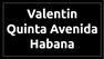 ? HotelDetail_LogoAlt Valentin Quinta Avenida Habana logo